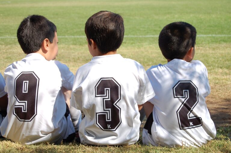 The role of cricket in promoting social and cultural integration